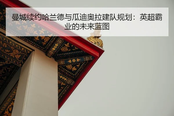 man-cheng-xu-yue-ha-lan-de-yu-gua-di-ao-la-jian-dui-gui-hua-ying-chao-ba-ye-de-wei-lai-lan-tu-2-529.jpg