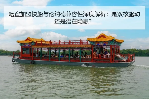ha-deng-jia-meng-kuai-chuan-yu-lun-na-de-jian-rong-xing-shen-du-jie-xi-shi-shuang-he-qu-dong-hai-shi-qian-zai-yin-huan-3-406.jpg