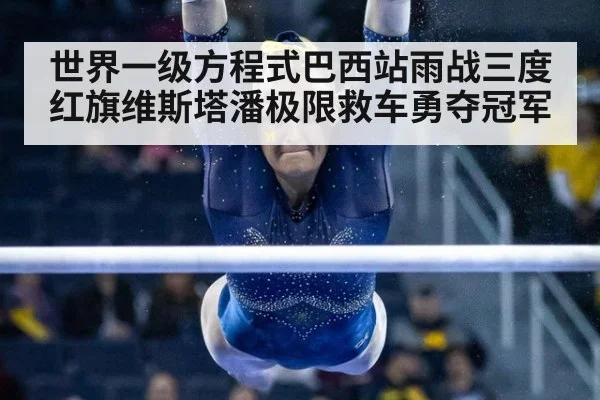 世界一级方程式巴西站雨战三度红旗维斯塔潘极限救车勇夺冠军